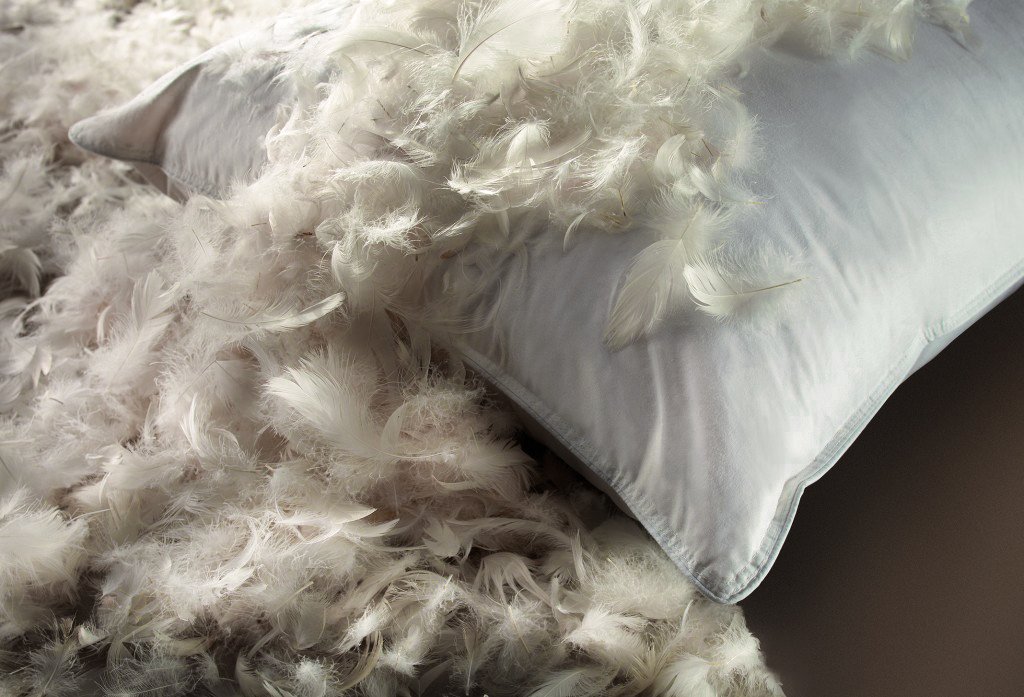 7 Best Feather Pillows Reviewed in Detail (Fall 2023)