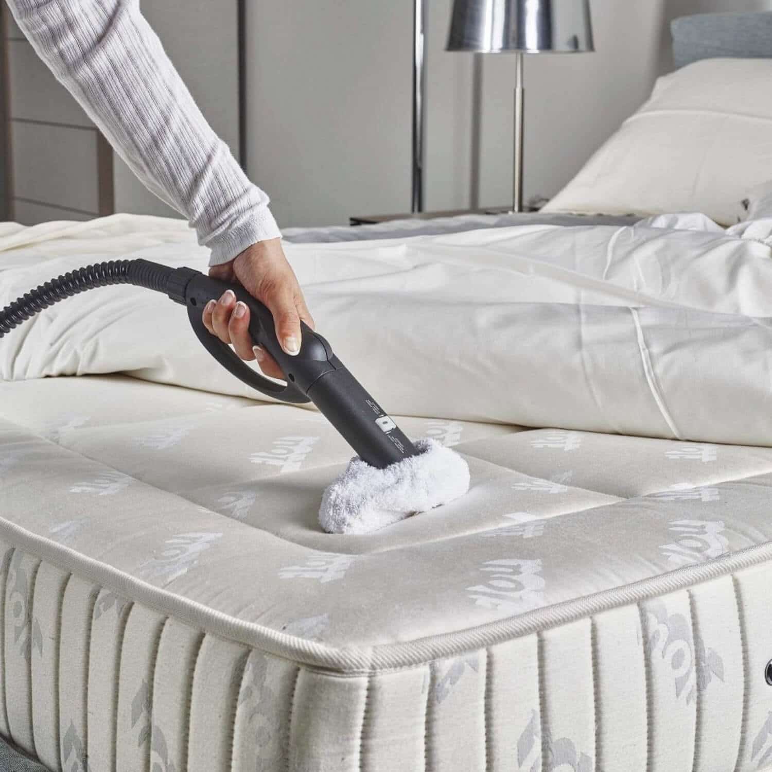 5 Best Steam Cleaners for Mattress Reviewed in Detail (Winter 2024)