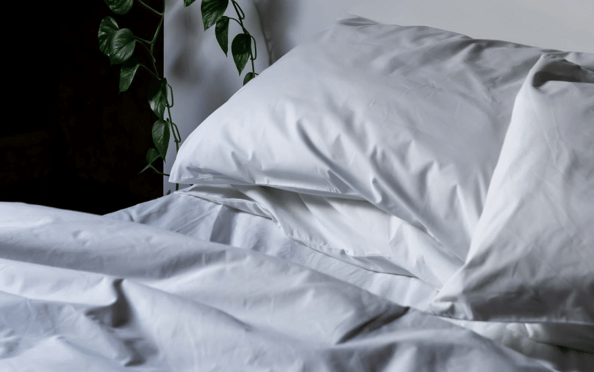 8 Best Sheets Reviewed in Detail (Fall 2022)﻿