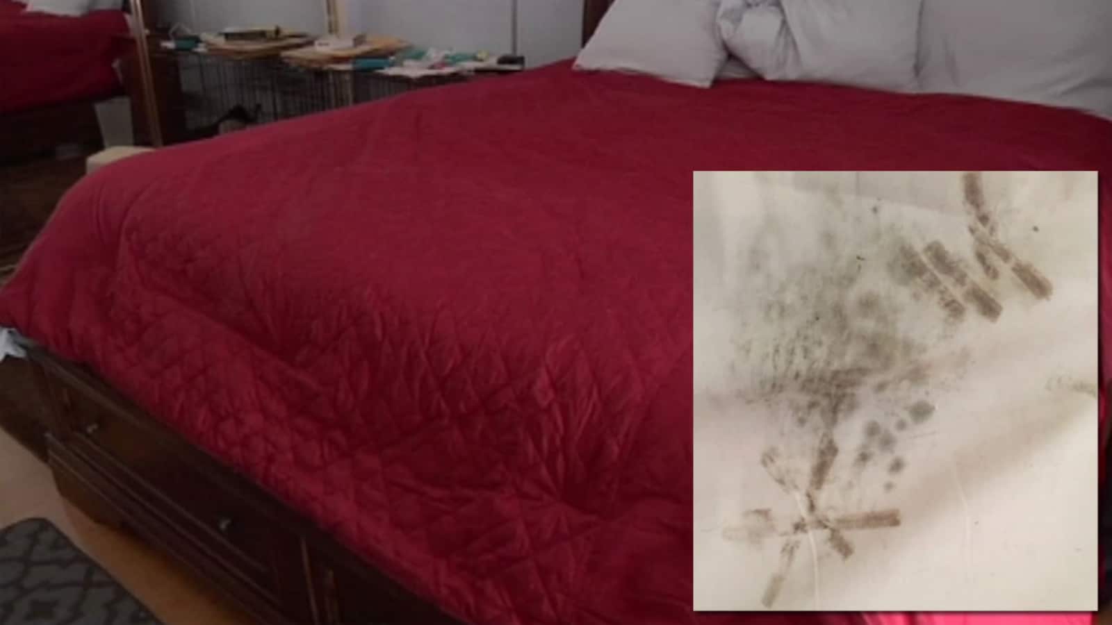mold on pillow top mattress