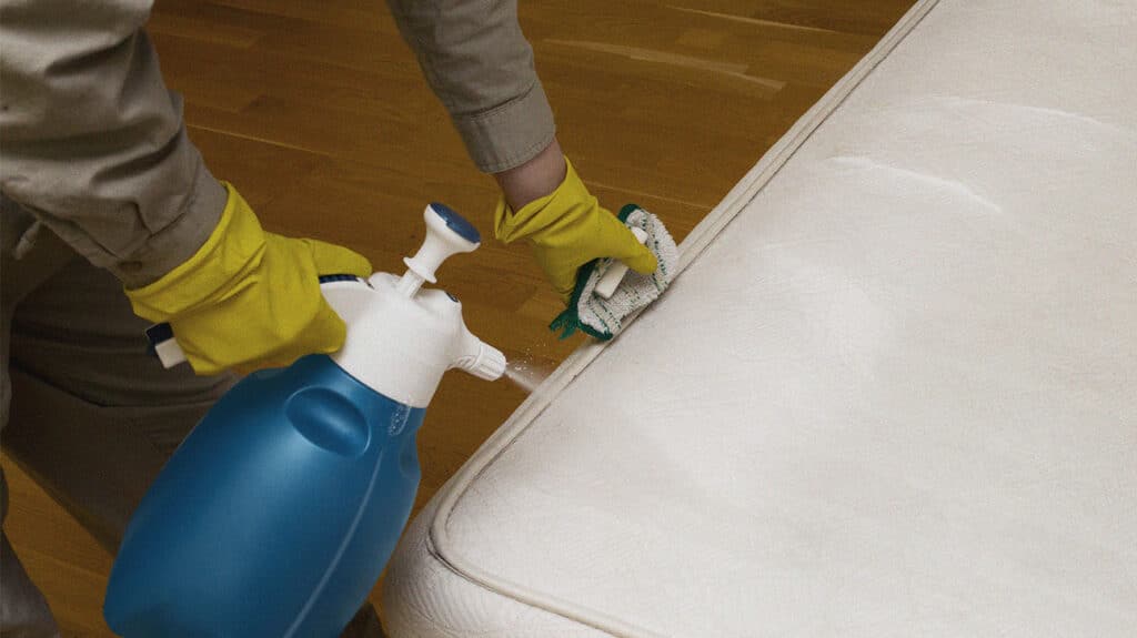 clean mold on mattress pad