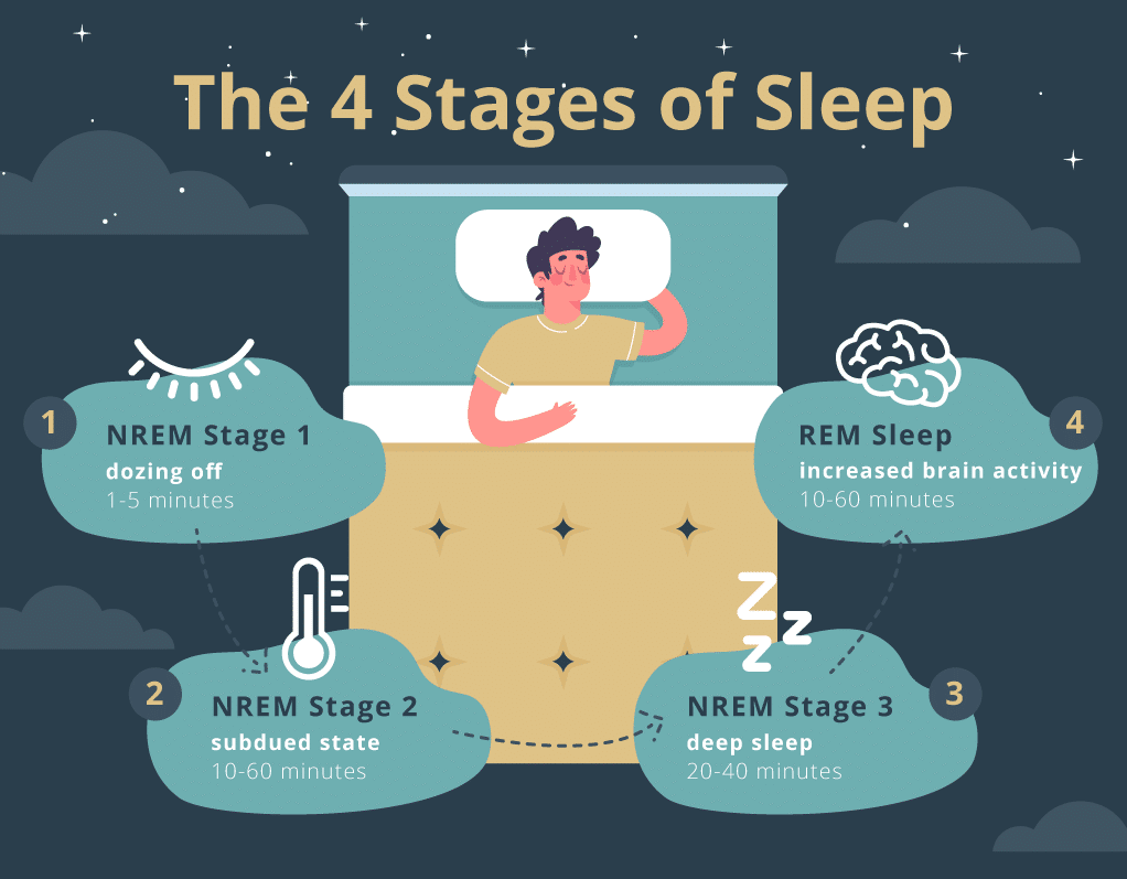 Stages Of Sleep What Does Each Stage Do 2022 